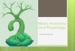 Biliary Anatomy and Physiology - 175 Days175days.com.au/.../12/Biliary-anatomy-and-physiology-.pdfBiliary Anatomy and Physiology Dr Amir Ashrafi Anatomy of Biliary tree ! Biliary anatomy