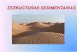 ESTRUCTURAS SEDIMENTARIAS - …usuarios.geofisica.unam.mx/gvazquez/yacimientosELIA/zonadesplegar... · permite interpretar las rocas sedimentarias y la dinámica de sus ambientes