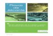 Playas de Alicante - RUA: Principal · modelo de gestión y mantenimiento de la calidad de las playas para ... vientos marinos, o a otras causas naturales o artificiales