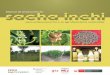para el biocomercio y la agroforestería sostenible MANUAL DE PRODUCCIÓN DE SACHA INCHI PARA EL BIOCOMERCIO Y LA AGROFORESTERÍA SOSTENIBLE Proyecto Perúbiodiverso – PBD: Deutsche