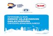 İSTANBUL’DA°stanbul-da-deniz-ulaşımının... · Tablo 5.17: Yolcu Anketi - Güvenilirlik Analizi Sonuçları ... • Mavi Marmara Yolcu Eşya ve Turizm Motorlu Deniz taşıyıcılar