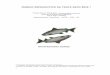 MANEJO REPRODUTIVO DA TRUTA ARCO-ÍRIS* truta arco-íris (Oncorhynchus mykiss) é um peixe da família do salmão, originária do oeste da América do Norte. Foi introduzida no Brasil