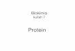 Biokimia 7 Protein.ppt [Read-Only] - USU OpenCourseWareocw.usu.ac.id/course/download/8110000028-biokimia/bio206_slide... · Fungsi protein • Sebagai enzim • Regulator enzim, mesenger