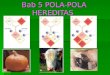 [PPT]Bab 5 POLA-POLA HEREDITAS - wongbio | Experience … · Web viewBab 5 POLA-POLA HEREDITAS HUKUM PEWARISAN SIFAT Mendel mengamati melalui penyilangan kacang kapri (ercis / Pisum
