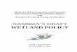 Draft Wetlands Policy - Gov Wetlands Policy.pdf · shall not be used as a reason for postponing cost-effective measures to prevent environmental degradation. ... Strategic Environmental