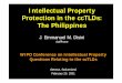 Intellectual Property Protection in the ccTLDs: The ... · Intellectual Property Protection in the ccTLDs: ... Levi’s, Shell, Disney, Nike) Philippine IPR Laws ... E-Commerce Act