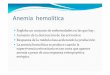 355ticas - copia.pptx) - Fundación Hemocentro Buenos Aires 2.pdf · Defectos enzimáticos G6PD Piruvatocinasa Otras enzimas de la vía glucolítica. Defectos de la estructura y la