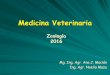 Medicina Veterinaria - ecaths1.s3.amazonaws.comecaths1.s3.amazonaws.com/zoologiaveterinariaunt/340792606... · Cuadro sintético . Phylum Acanthocephala. Phylum Acanthocephala 