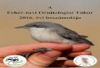 A Fehr-tavi Ornitolgiai Tbor 2016 . vi beszmol ja Fehr-tavi Ornitolgiai Tbor (FOT) 2016. vi vonulskutatsi munkja prilis 14-n ... November by Pter Bnhidi during a Hungarian expedition