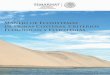 Manejo de Ecosistemas de Dunas Costeras, Criterios ...biblioteca.semarnat.gob.mx/janium/Documentos/Ciga/Libros2011/CD... · Dirección de Política Ambiental e Integración Regional