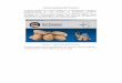 Οδηγός εκµάθησης Hot Potatoes 6 - users.sch.grusers.sch.gr/bdaloukas/download/seminariomoodle1/11-hot_potatoes_6.pdfδιαθέσιµα από το φάκελο tutorial