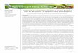 Research Article Profiling of bioactive chemical entities ... · The GC-MS analysis unveiled the different kinds of bioactive compounds such as alkaloids, terpenoids, triterpenoids,