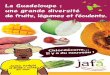 La Guadeloupe : une grande diversité de fruits, légumes et ...jafa.ireps.gp/wp-content/uploads/2014/02/livret_fruits_legumes... · pois savon, pois rosés, ... contre la larve du