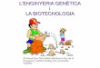 L'ENGINYERIA GENÈTICA i LA BIOTECNOLOGIAcosmolinux.no-ip.org/recursos_aula/BIO1erBAT/Enginyeria_genetica/L... · L'enginyeria genètica i la producció agrícola i animal Què és