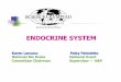 Nervous System Endocrine System Chemical Messenger ...· Nervous System Endocrine System Chemical