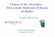 Charm of the charmless – Three-body Hadronic B decays at … · Other types of B decays (PID, charm and charmonia veto) ... Time-dependent DP (3body) uds:cc:bb = 2.1:1.3:1.1 Complexity