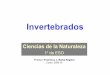 03 Invertebrates esp-ing - Cniesrc's Blog | Un blog con ... · . CNIDARIOS (2): CARACTERÍSTICAS • Algunos de ellos pueden flotar (medusas 