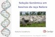 Seleção Genômica em bovinos da raça Nelore - labegen.orglabegen.org/menu/principal/arquivos_palestras/Carvalheiro Selecao... · Índice final ~ 0,45 < 1% Touro provado ... ca