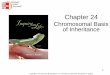 Chromosomal Basis of Inheritance - Welcome to Biology!cherylchowbiology.weebly.com/uploads/1/7/1/7/17179396/... · 2013-05-15 · 24.1 Sex-Linked Inheritance •Normally, ... Copyright