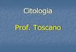 Citologia Prof. Toscano - Toscanobiomais · 7,5 a 10 nm (não visíveis ao ... - Agem no movimento das organelas e migração dos cromossomas na divisão celular. - responsávesis