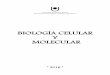 BIOLOGÍA CELULAR Y MOLECULAR - ecaths1.s3.· estructura y ultraestructura celular, ... Las bases