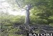 SATORI - Winona State University · Mission Statement In Zen Buddhism, “Satori” is the Japanese word for enlightenment, seeing into one’s own true nature. Since 1970, Satori
