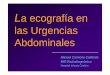 La ecografía en las Urgencias Abdominales · La ecografía en las Urgencias Abdominales Manuel Carmona Calderón MIR Radiodiagnóstico Hospital Infanta Cristina