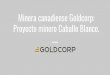 Minera canadiense Goldcorp: Proyecto minero Caballo …depa.fquim.unam.mx/amyd/archivero/Goldcorp_34325.pdf · Un poco de historia del uso de cianuro en la minería... ... Carbón