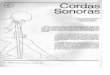 €¦ · (c) Cordas Sonoras Rosicler Martins Rodrigues Fundaçäo Brasileira para o Desenvolvimento do Ensino de Ciências-FUNBEC Este é …