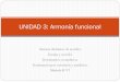 UNIDAD 3: Armonía funcional · Sistema diatónico de acordes Escalas y acordes Dominantes secundarios Dominantes por extensión y auxiliares Módulo II-V7 UNIDAD 3: Armonía funcional