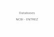 Databases NCBI - ENTREZhelix.mcmaster.ca/diagrams_Sep26.pdf · Mapping Data CDTree NCBI Taxonomy ... EC/RN Number ECNO YES YES YES YES YES