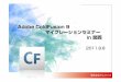 Adobe ColdFusion 9 マイグレ ションセミナマイグレー …cfassociates.samuraiz.co.jp/default/assets/File/CF9_migration... · 4. 0J 2000 ... (ExtJS) の更新 ... ColdFusionサーバーの管理管理