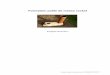 Surgères 2016-2017 - ecologie-pratique.org · 20cm de diamètre et un banc en pierre, en brique ou urbanite assemblée à la bauge pour le stockage de la chaleur