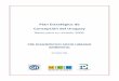 Plan Estratégico de Concepción del Uruguay - CAPER …colegioarqeste.com.ar/descargas/pre_diagnostico.pdf · 2015-04-15 · De la mano del proceso de globalización y ... como herramienta