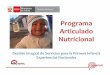 Programa Articulado Nutricional - MIDIS · Proporción de niñas y niños de 6 a 36 meses con Anemia 2007-2012 .Por ámbitos. Avances en relación a Resultados en DCI