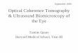 Optical Coherence Tomography & Ultrasound …eradiology.bidmc.harvard.edu/LearningLab/central/qaum.pdf · • Conventional ultrasound -resolution of only 150 μm • UBM - limited
