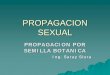 PROPAGACION SEXUAL - ::::::::Universidad Nacional  · PDF fileeucalipto, tara-Malezas: grama china, coquito, capulí, chamico, bolsa de pastor, IMPORTANCIA