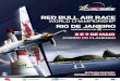 RED BULL AIR RACE - ABUL - ASSOCIAÇÃO .  red bull air race world champion ship