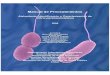 Manual de Procedimientos - .:: Medica-Tec de Procedim. Chrom.Vibrio... · Manual de Procedimientos Aislamiento, Identificación y Caracterización de Vibrio parahaemolyticus 2008