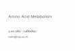 Amino Acid Metabolism - Metabolism-amino... · alanine ที่เกิดขึ้นเปลี่ยนแปลงโดยกระบวนกำร
