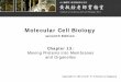 Molecular Cell Biology - œ‹ç«‹è‡ç£¤§­¸ mchuang/ER-Golgi.pdf  3 The Nobel Prize in Physiology