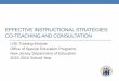 EFFECTIVE INSTRUCTIONAL STRATEGIES: CO-TEACHING ... - nj.gov .EFFECTIVE INSTRUCTIONAL STRATEGIES: