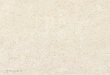 PIETRA DI LECCE - Mosaic Tile Companymosaictileco.com/Catalogs/Piemmegres/Newstone.pdf · BIANCO TRANI COLORI COLOURS FARBEN COULEURS Per una migliore resa estetica Piemme consiglia