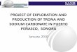 PROJECT OF EXPLORATION AND PRODUCTION OF TRONA … - Briefing... · PROJECT OF EXPLORATION AND PRODUCTION OF TRONA AND ... FMC Industrial Chemicals, ... A Business Plan will be done