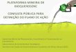 PLATAFORMA MINEIRA DE BIOQUEROSENE …desenvolvimento.mg.gov.br/images/documentos/Plano de Ação da... · Capacitar agricultores familiares e extrativistas em políticas públicas