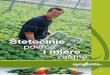 Štetočinje povrća i mjere zaštite - cdn.agroklub.com · U proizvodnji presadnica provodi se preventivna zaštita već od pojave prvih pravih listova. Za suz-bijanje plamenjače