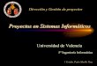 Proyectos en Sistemas Informáticos - informatica.uv.esinformatica.uv.es/iiguia/2000/IPI/material/1_IntrodGest.pdf · The politics of Project. 9 Tipos de proyectos • Proyecto Clásico