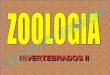 ZOOLOGIA - usuarioweb.infonet.com.brusuarioweb.infonet.com.br/~biologia/down/invertebrados_II.pdf · outros animais ópn( muda período sem crescimento crescimento ... >Dióicos e