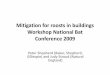 Mitigation for roosts in buildings ps final.ppt [Read … · Mitigation for roosts in buildings Workshop National Bat ... Mitigation for roosts in buildings ps final.ppt [Read-Only]