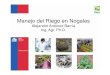 Manejo Riego Nogales - biblioteca.inia.clbiblioteca.inia.cl/medios/platina/descarga/Alejandro_Antunez... · Aplicación de agua al suelo para satisfacer los requerimientos de evapotranspiración